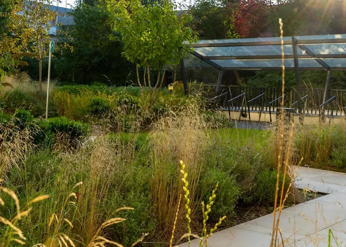 Plac Kaszubski Lejlighed